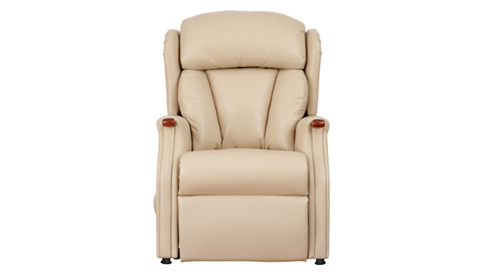 Celebrity Furniture Canterbury Leather Chair